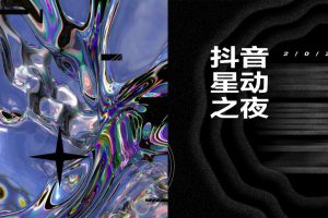 2020抖音星动之夜宣传推广方案（PDF）