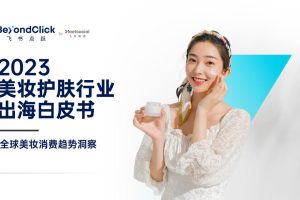2023美妆护肤行业出海白皮书-飞书深诺