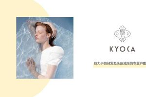 极方防脱发品牌及产品介绍（PDF）