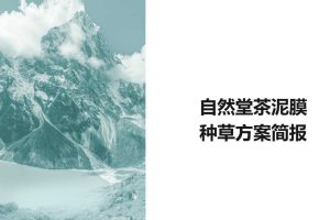 自然堂茶泥膜面膜种草方案brief（PDF）