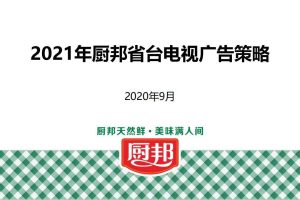 2021年厨邦省台电视广告投放策略（PDF）