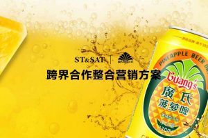 ST&SATx廣氏菠萝啤品牌联名跨界合作整合营销方案（PDF）