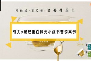 酸奶品牌畅轻蛋白时光小红书种草案例（PDF）