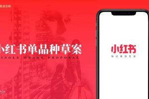 小红书单品种草案（如何在小红书进行产品种草）（PDF）