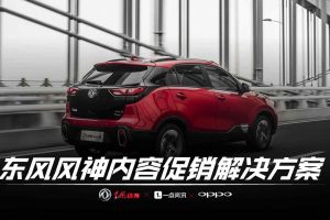 东风风神内容促销解决方案（PPT）