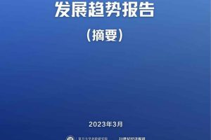 “中国式”养老发展趋势报告-复旦&21世纪经济报道