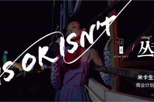 米卡生活商业计划书（PDF）