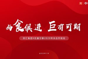 双汇食品X巨量引擎2020末合作规划方案（PPT）