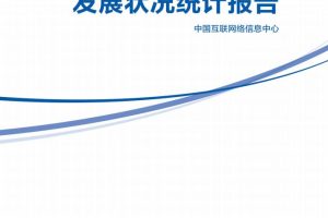 第51次中国互联网络发展状况统计报告-CNNIC