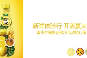 2022怡泉饮料新品线下路演活动执行方案（PPT）