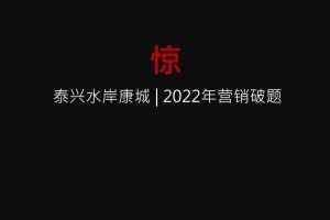 2022泰兴高铁新城营销策略方案（PDF）