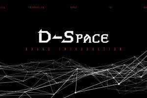 D-SPACE次元空间休闲鞋品牌全案（PDF）