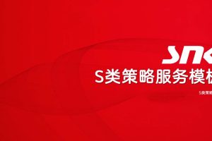 SNK广告公司S类策略服务模板（PPT）