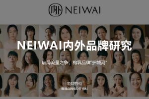 NEIWAI内外内衣品牌研究：破局流量之争，构筑品牌“护城河”（PDF）