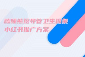 2021瞌睡熊短导管卫生棉条小红书种草推广方案（PDF）