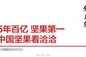 洽洽企业战略、品牌策略及坚果产品定位设计方案（PDF）