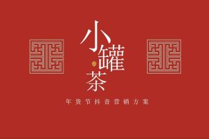 茶叶品牌小罐茶2022年货节抖音营销方案（PDF）
