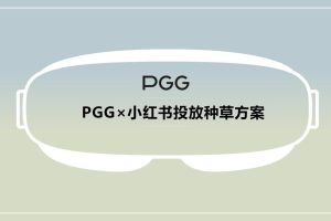 PGG护眼按摩仪品牌小红书投放种草规方划案（PPT）