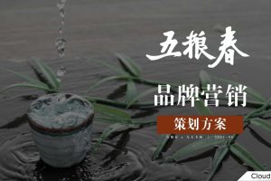 白酒品牌五粮春品牌营销策划方案（PPT）