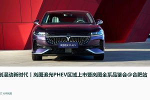 2024岚图汽车区域上市暨岚图全系品鉴会活动策划方案（PPT）