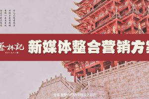 方便食品老字号品牌蔡林记新媒体整合营销方案（PDF）