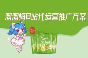 零食品牌溜溜梅B站代运营推广方案（PDF）