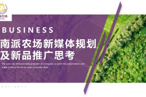 饮料品牌南派农场2023年新媒体规划及新品推广方案（PDF）