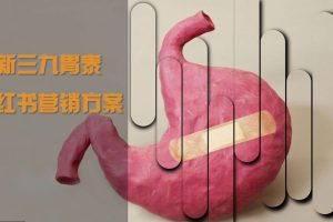 新三九胃泰药品小红书种草营销方案（PPT）