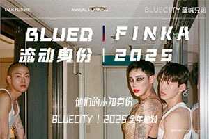 Bluecity蓝城兄弟：他们的未知身份2025全年规划营销通案（PDF）