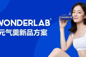 Wonderlab蛋白元气羹新品创意推广方案(PDF)